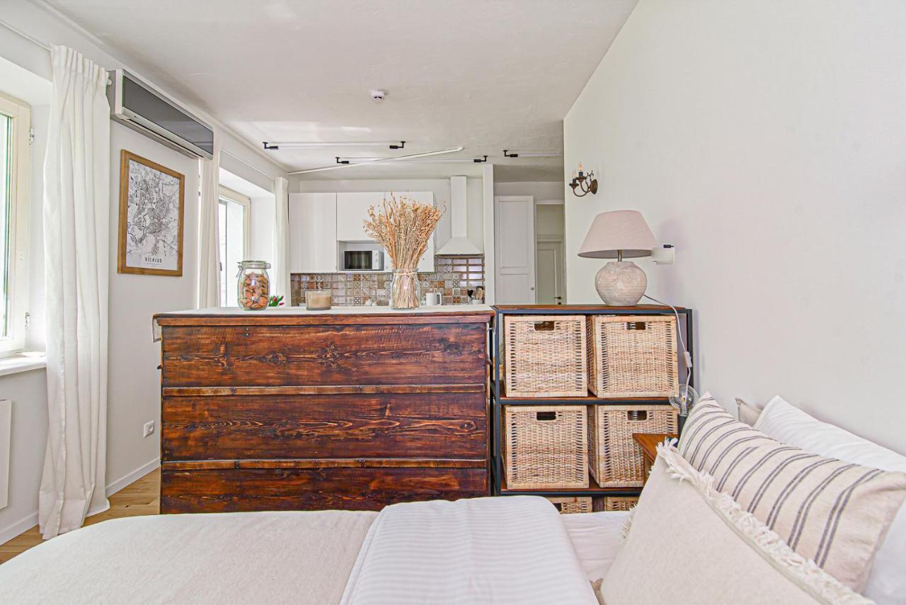 Cozy Studio In The Heart Of Vilnius Old Town Exterior foto